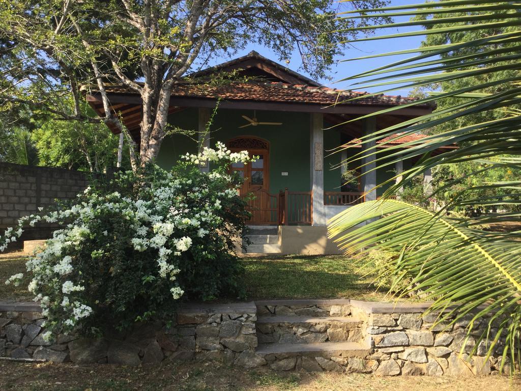 טנגלה Tranquality Chalets מראה חיצוני תמונה